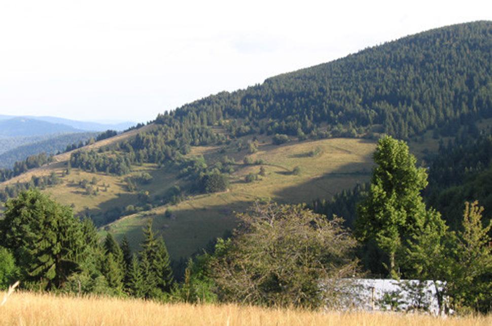 Skorušina - okolie chaty