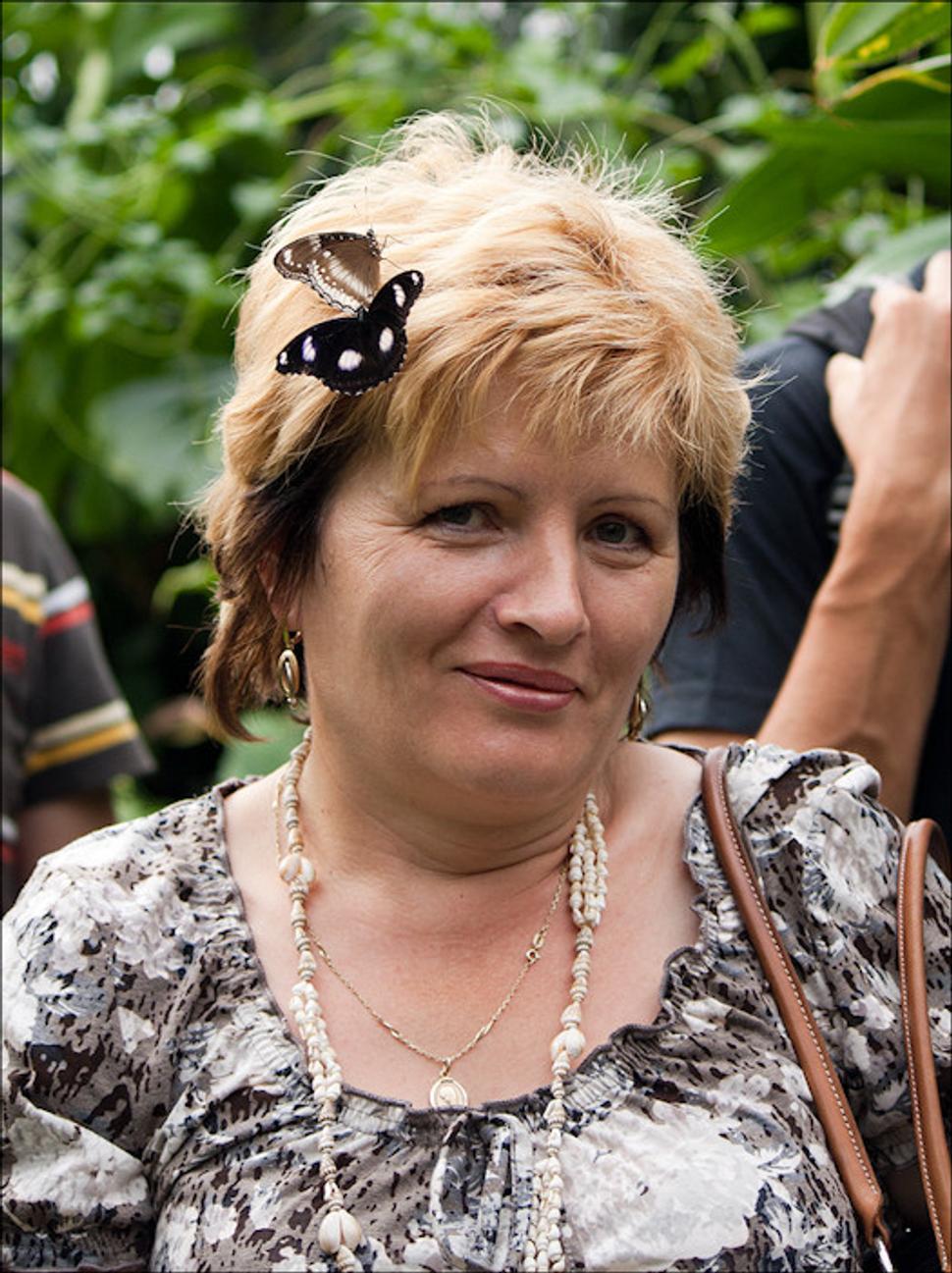 Obrázok blogu