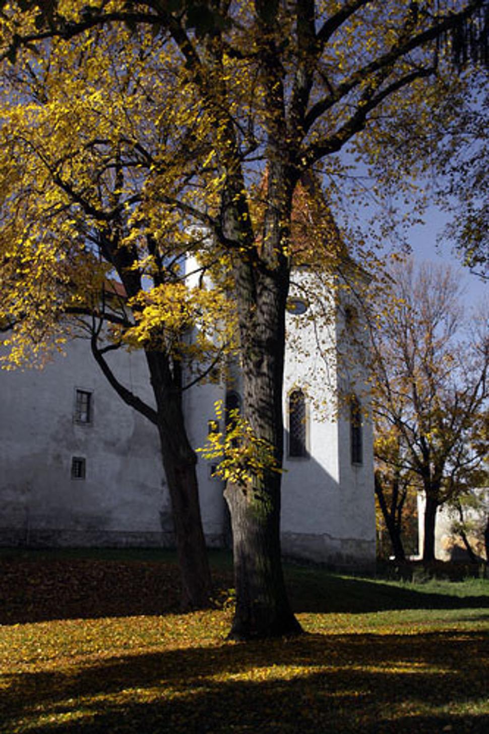 Obrázok blogu