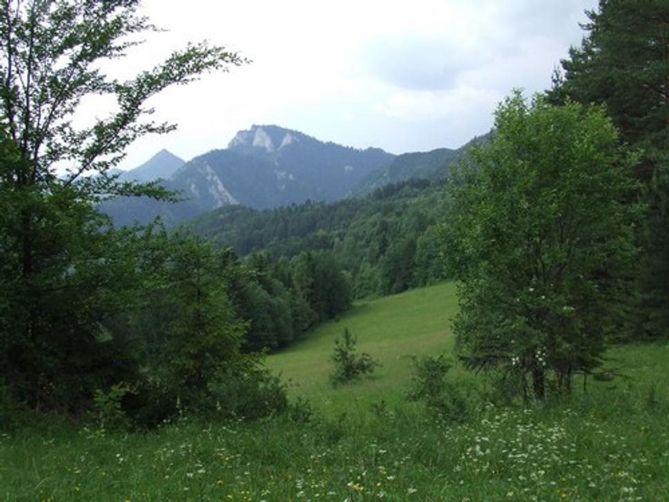 Obrázok blogu