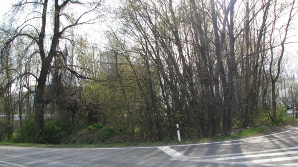 Obrázok blogu