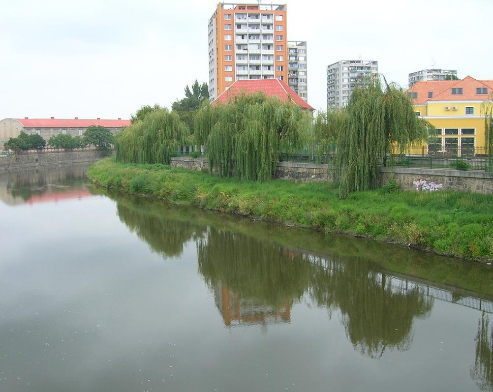 Obrázok blogu