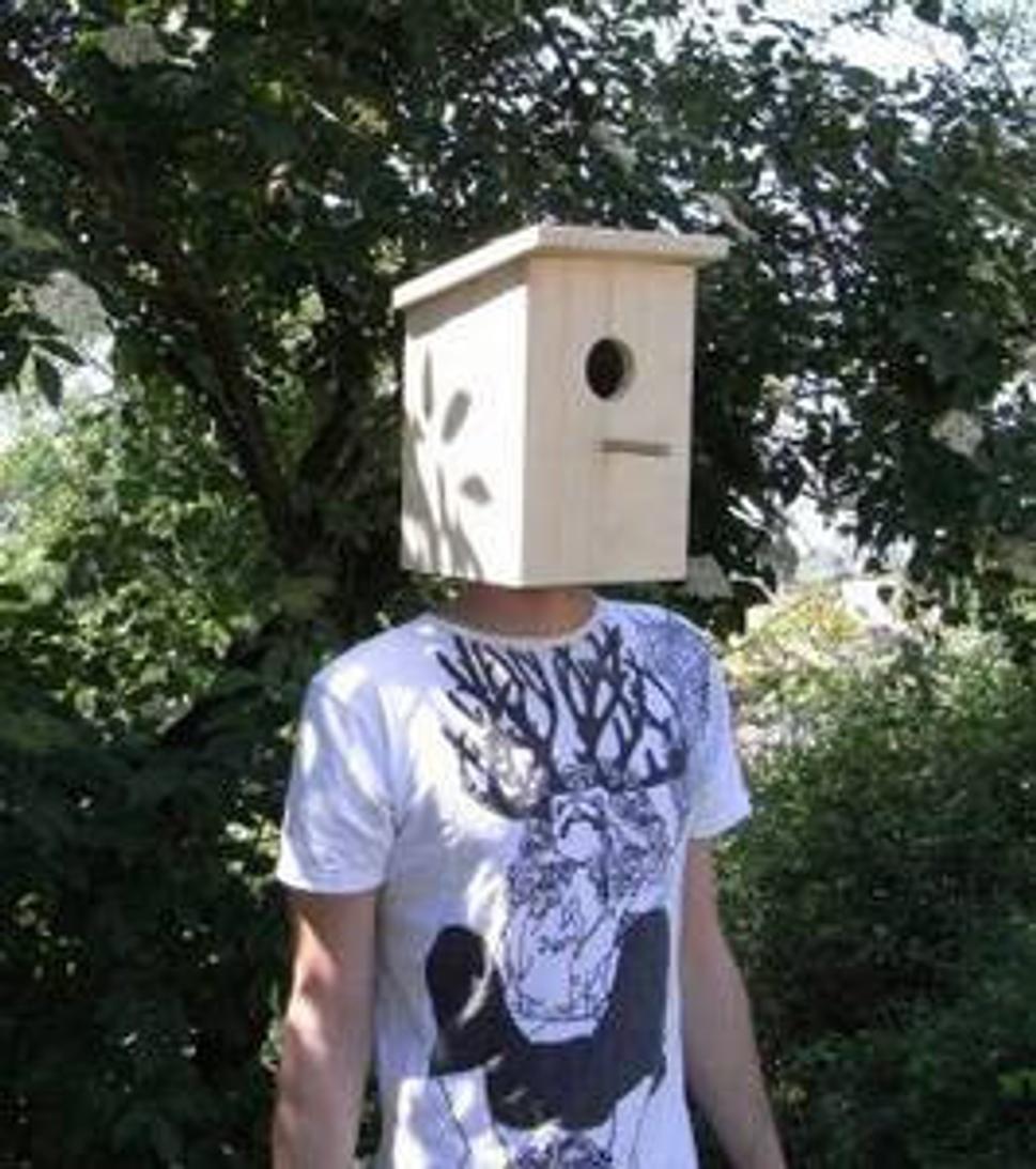 Obrázok blogu