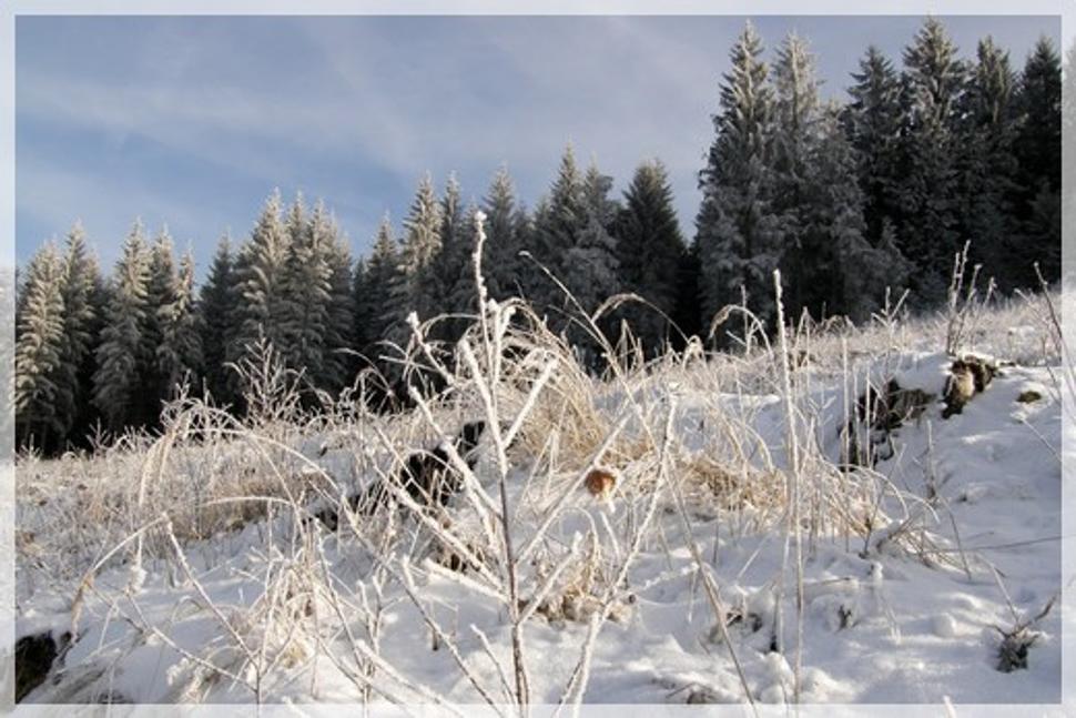 krajina