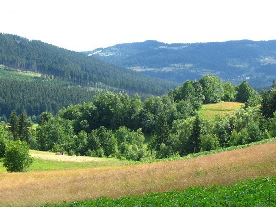 Obrázok blogu