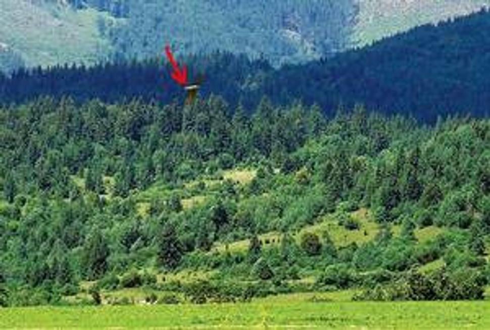 zdroj: http://www.plus1den.sk/2007/07/20/slovensko/ufo-na-horehroni.htm