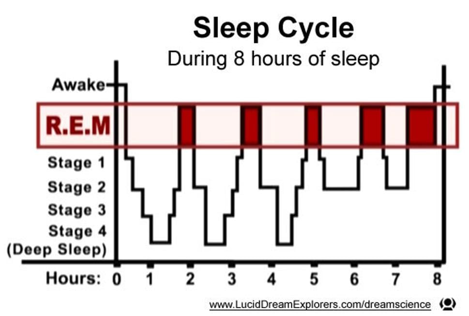 Spánkový cyklus počas 8 hodín Zobudený - awake REM fáza Fáza hlbokého spánku - deep sleep