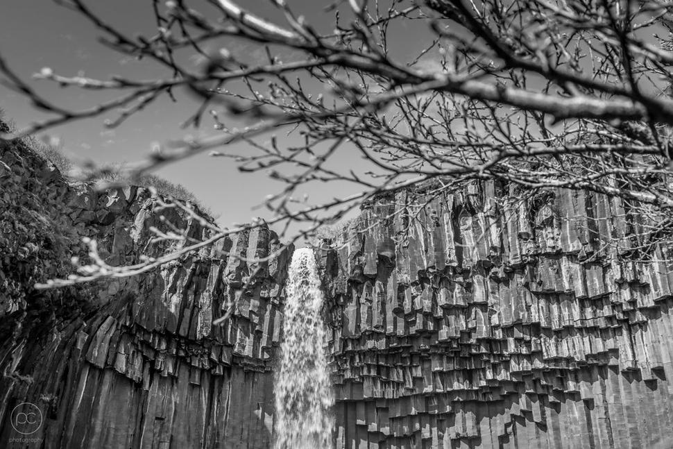 Svartifoss