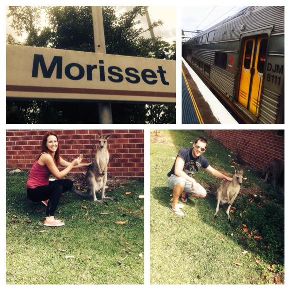 Morisset park