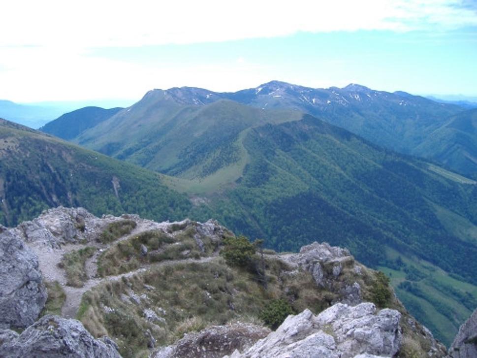 Obrázok blogu