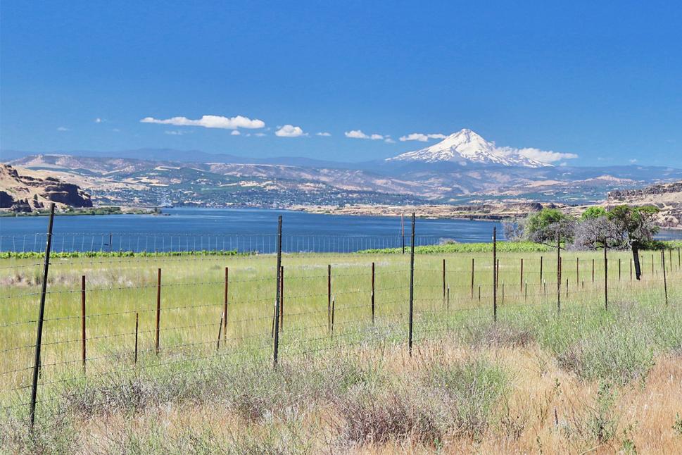 Columbia River Gorge, Washington; v pozadí Mt. Hood (3402 m.n.m.), Oregon