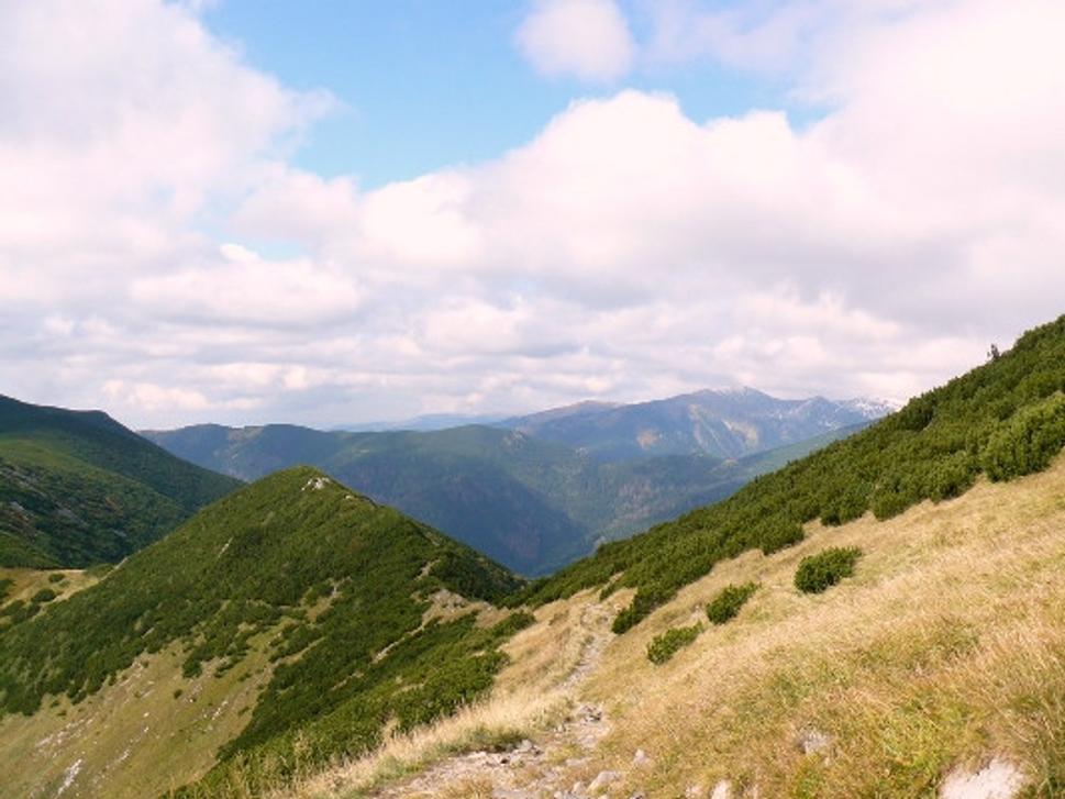 Obrázok blogu
