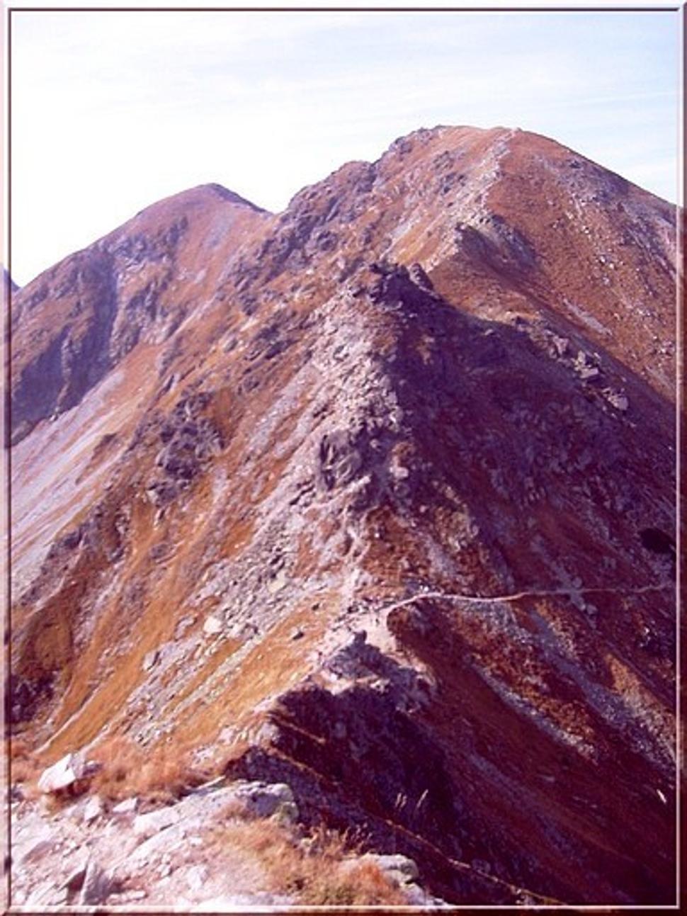Obrázok blogu