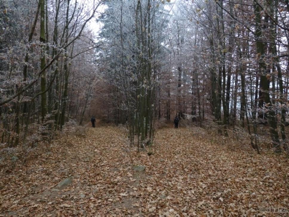 Obrázok blogu