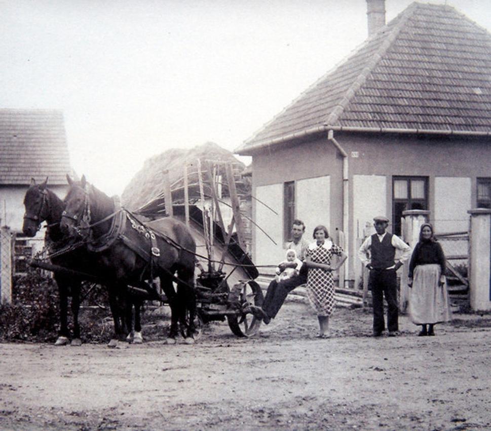 Obrázok blogu