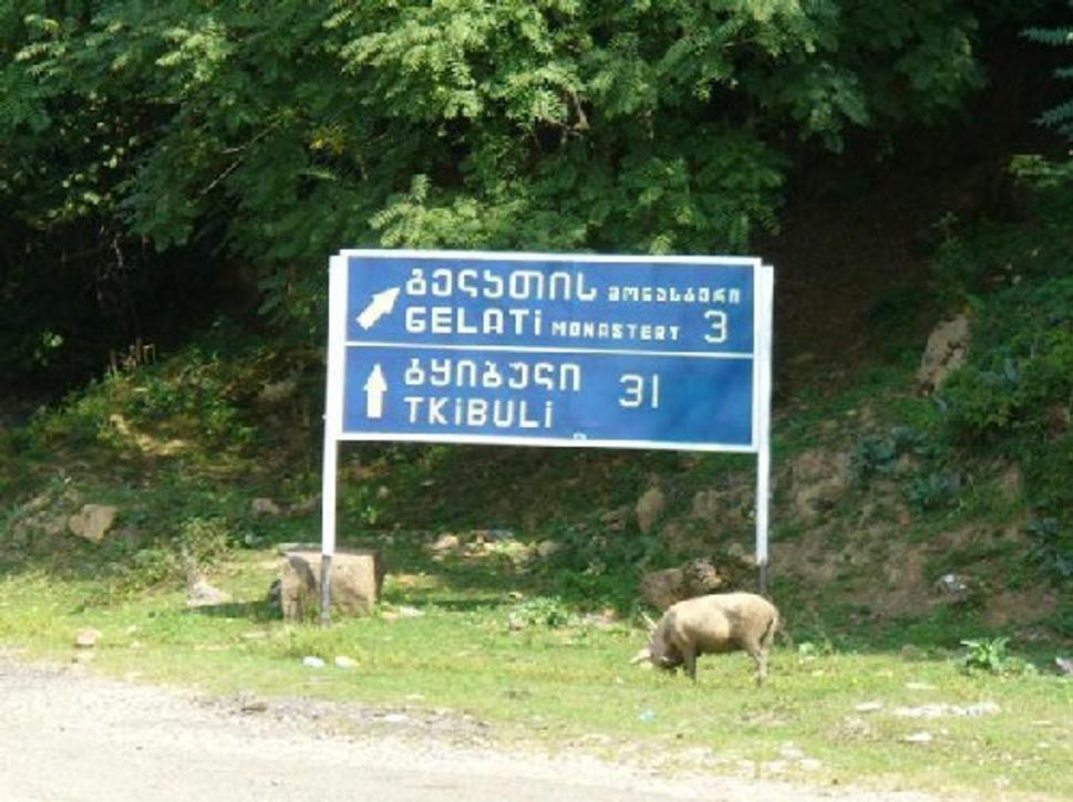 Obrázok blogu