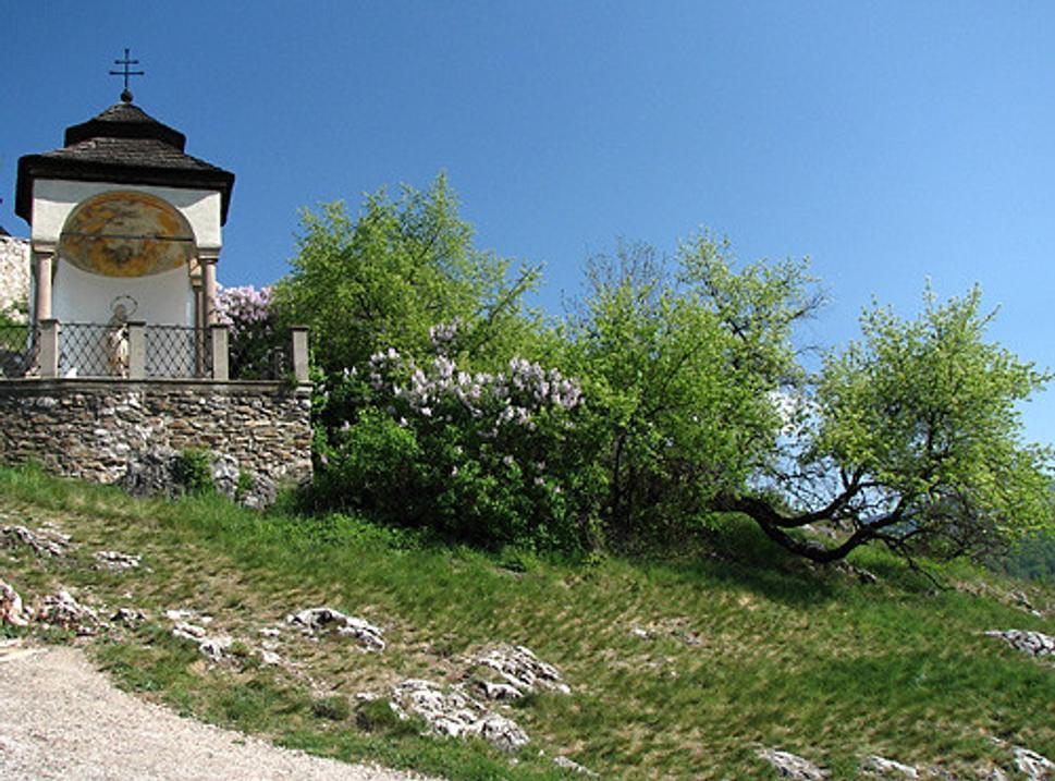 Obrázok blogu
