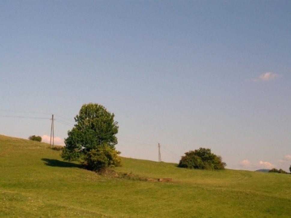 Obrázok blogu