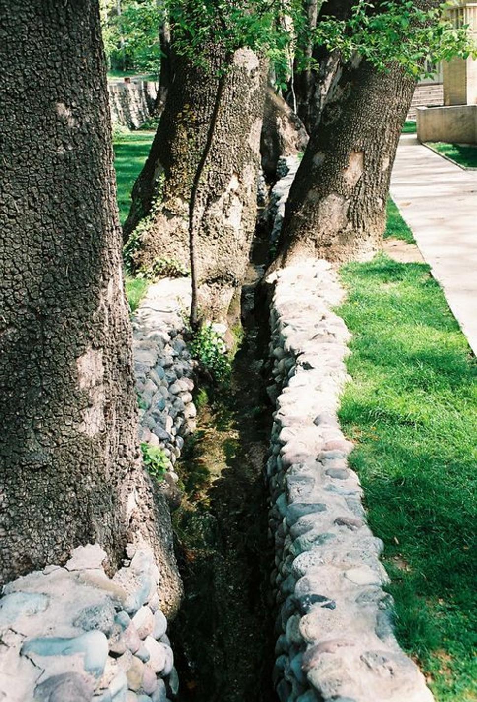 Teheran