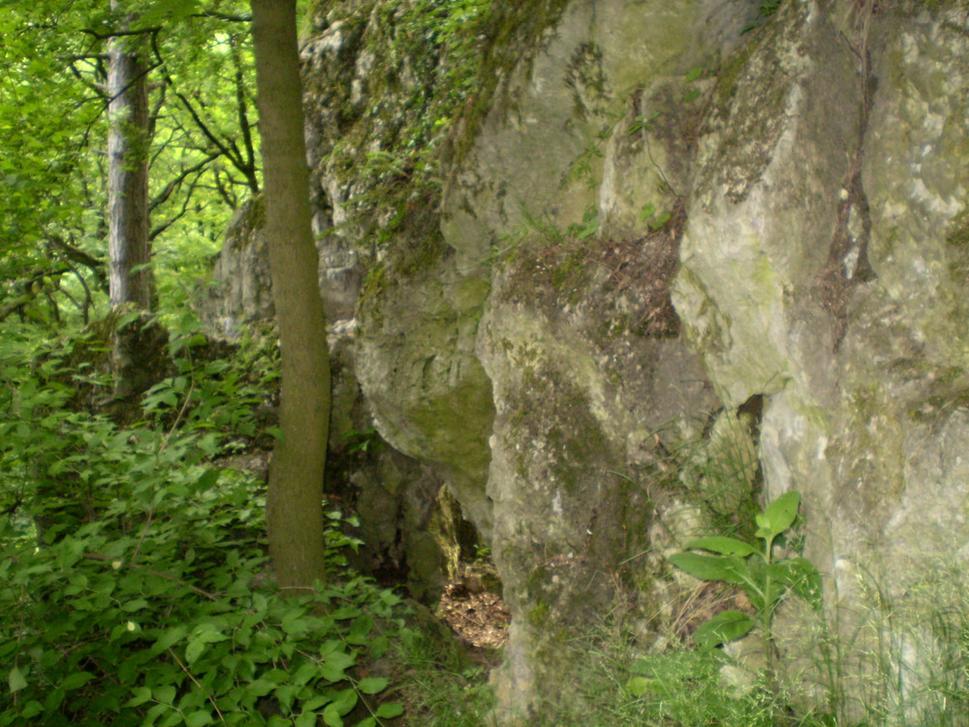 Smolenický zámok, Smolenice 