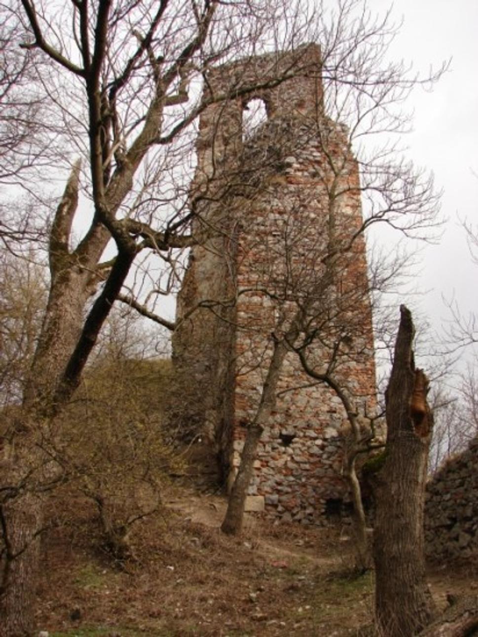 Obrázok blogu
