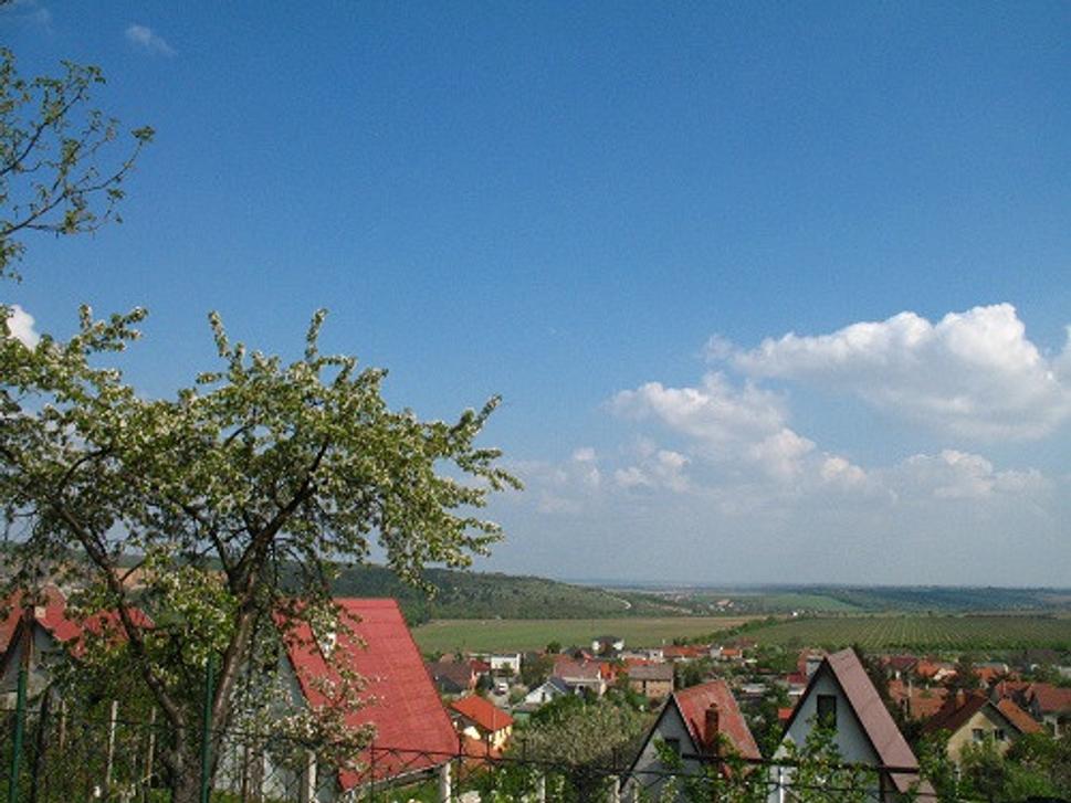 Obrázok blogu