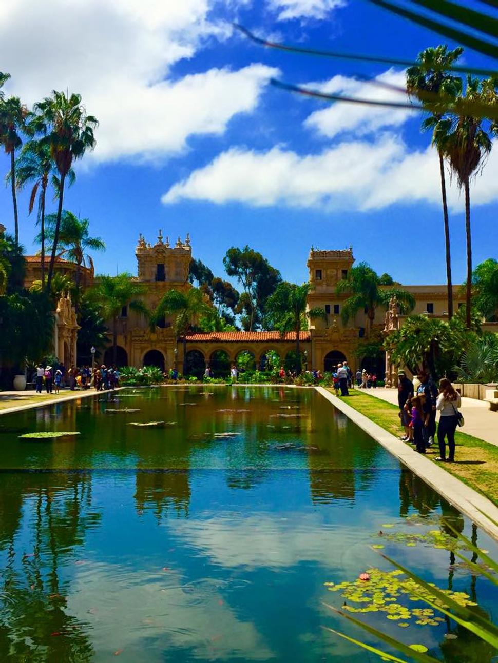 Ľaliový rybník naproti Botanickej záhrade, Balboa Park /