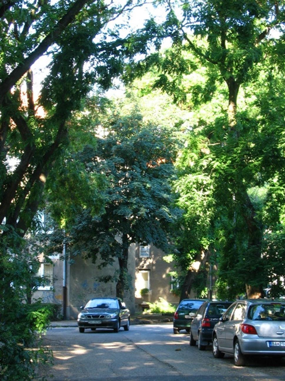 Obrázok blogu