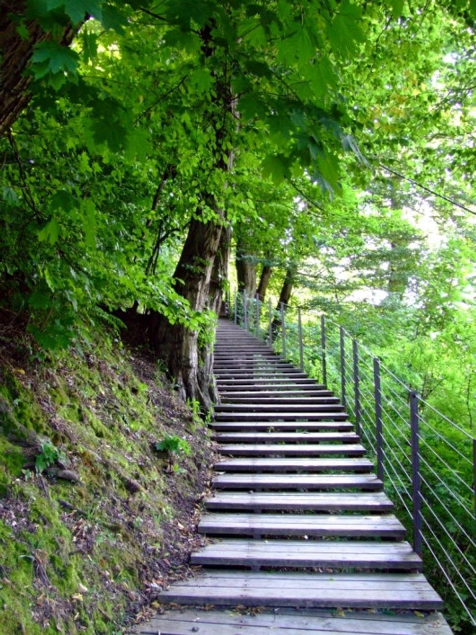 Obrázok blogu