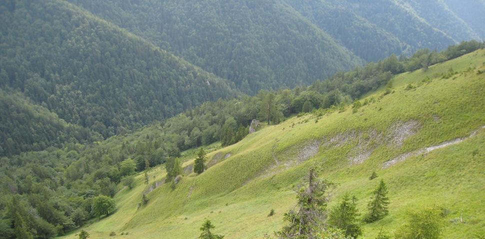 Obr. 1 Archívny pohľad z roku 2009 ukazuje ochranné lesy popod Čierňavský vrch. Pohľad zo Salatínskych Žiarov do Salatína.
