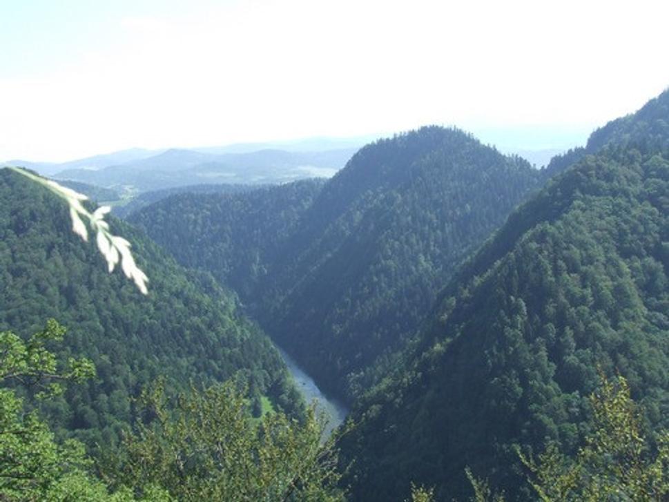 Obrázok blogu