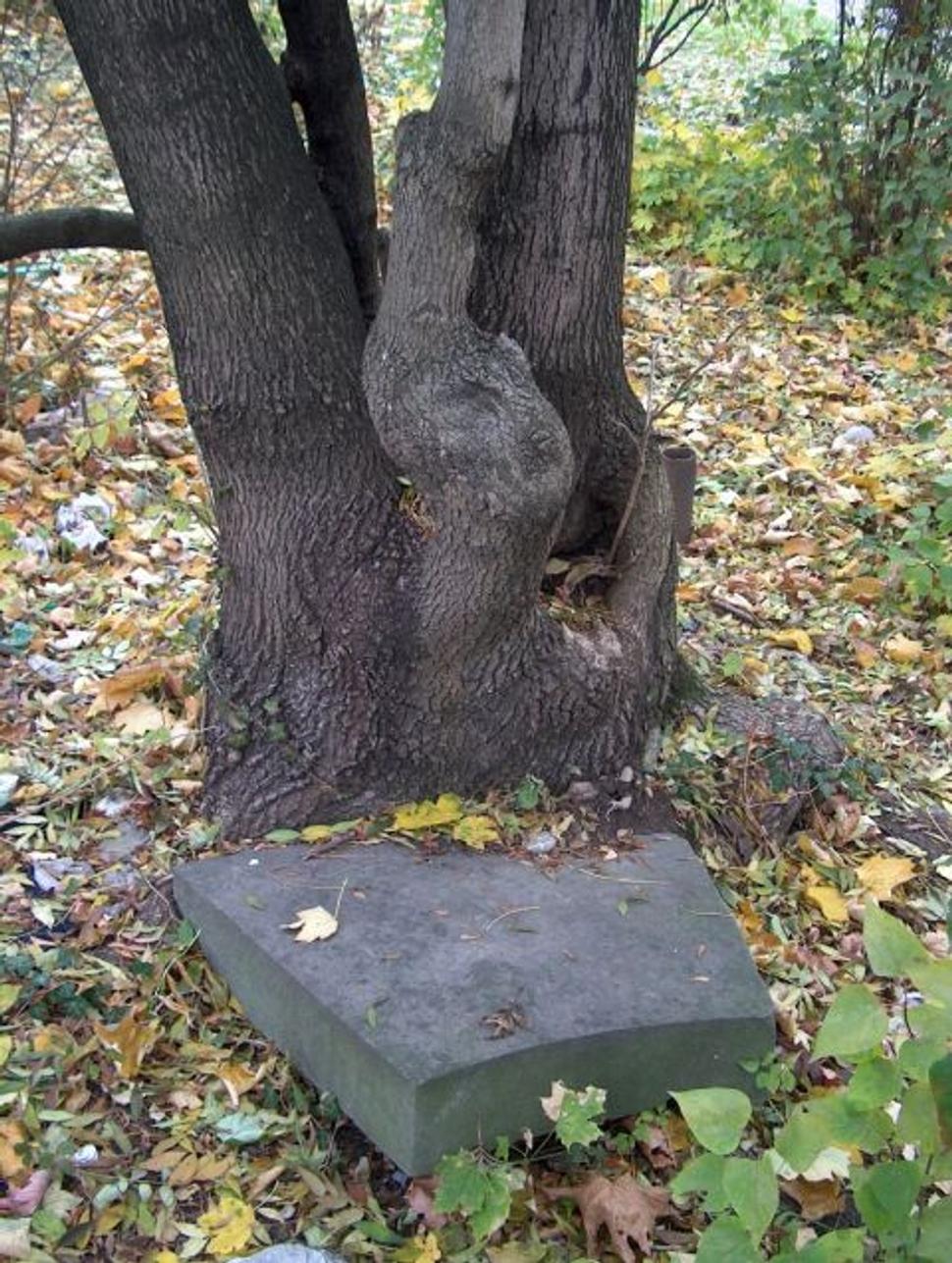 Obrázok blogu