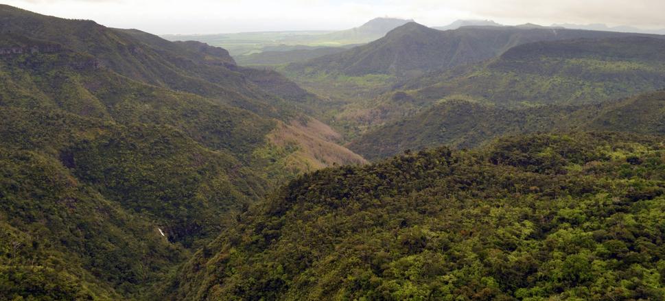 Black River Gorges National Park