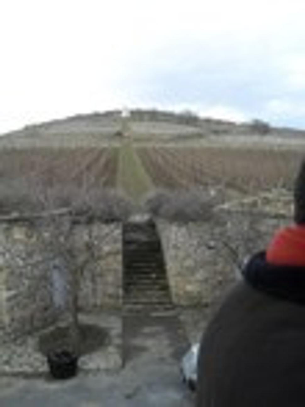 Tokajské vinice blízko Mádu