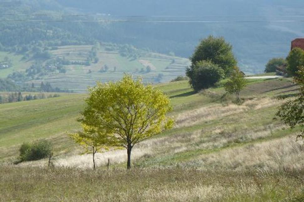 Obrázok blogu