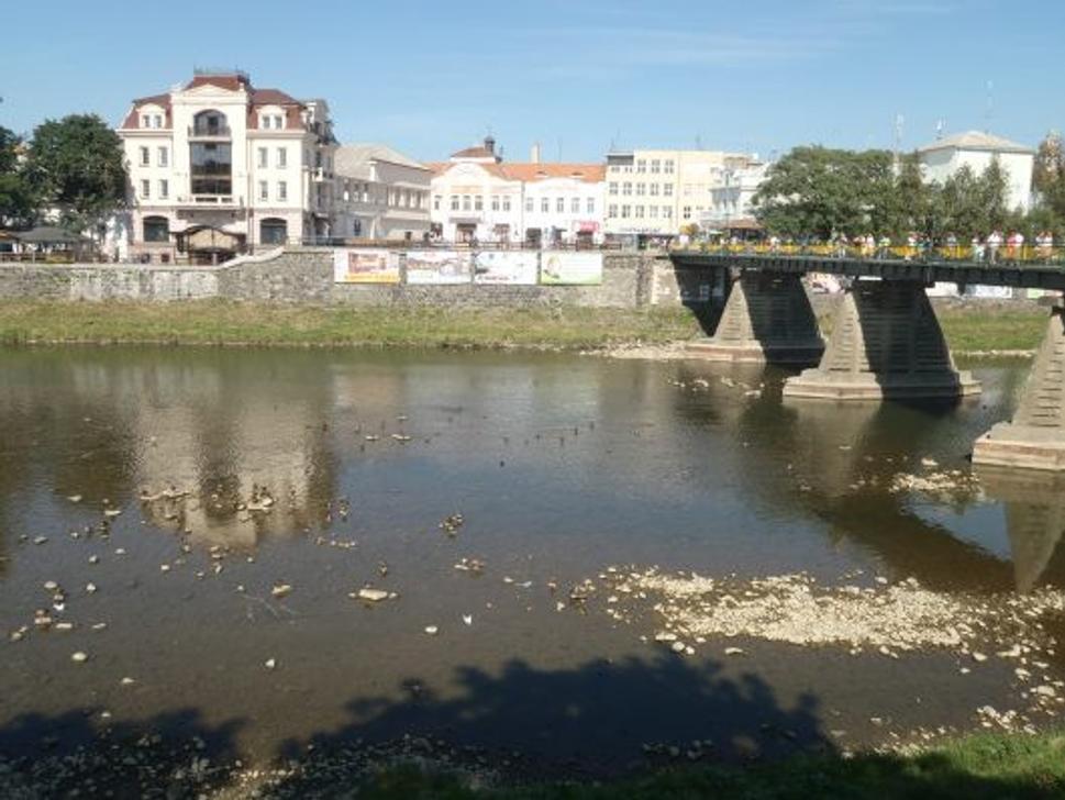 Obrázok blogu