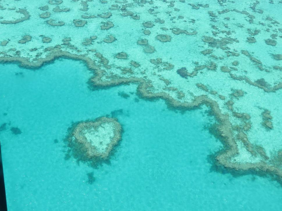 Koralový Heart Island