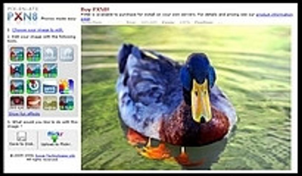 PXN 8 - online photo editor