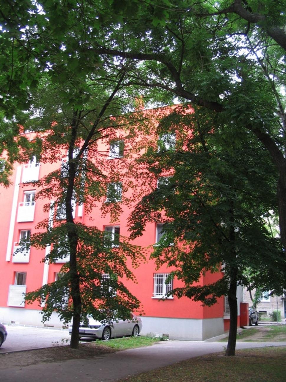 Obrázok blogu