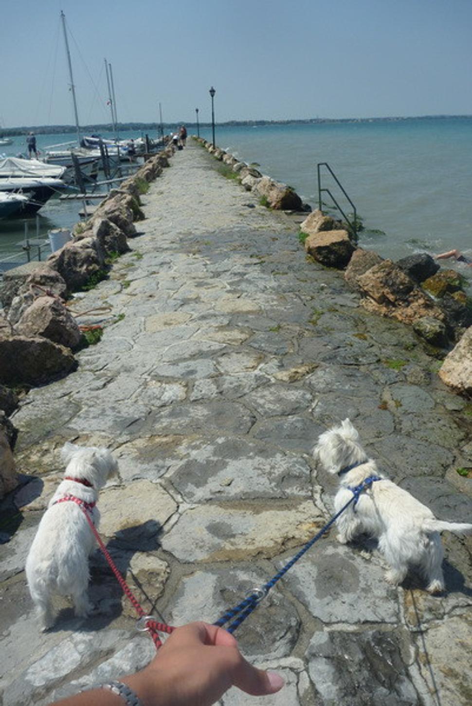 Lago di Garda