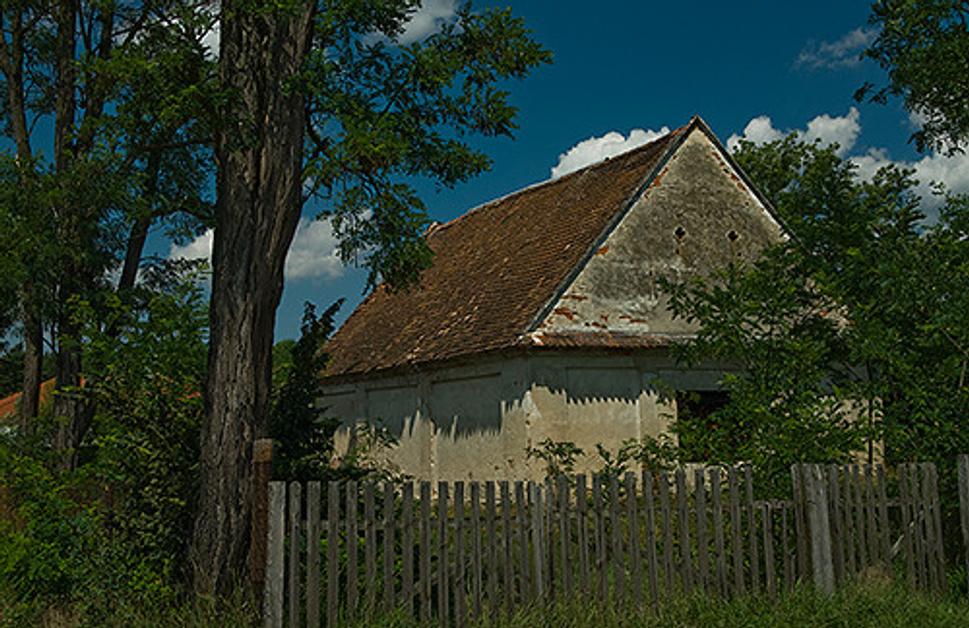 Obrázok blogu