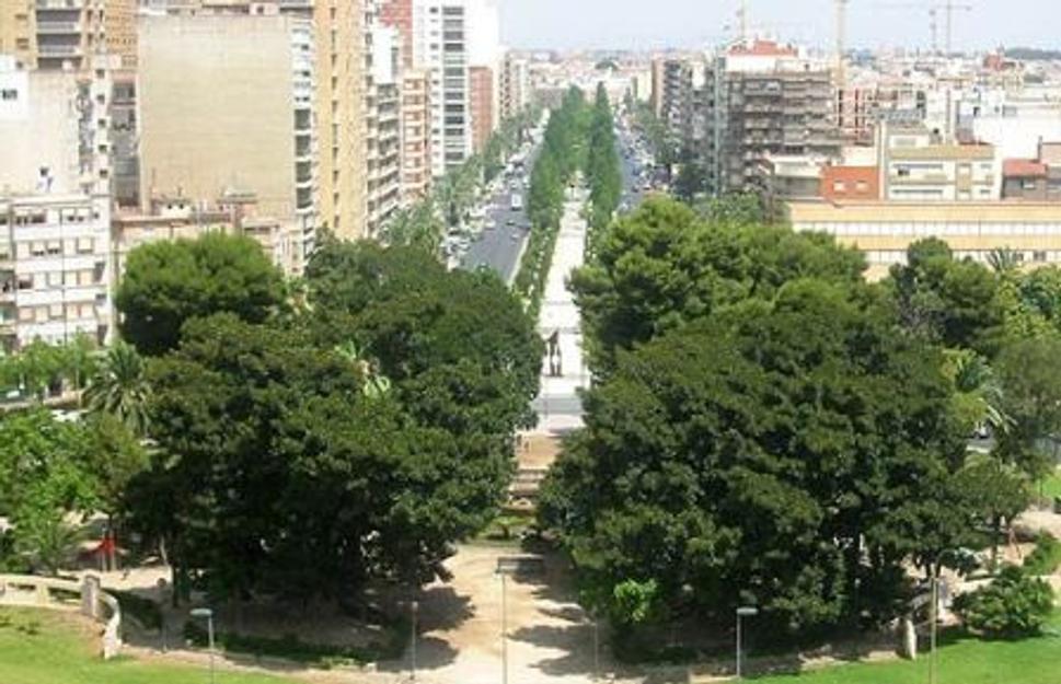 zelene centrum