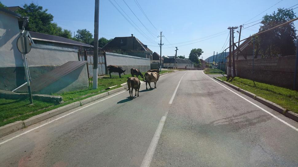 Cestou cez dediny