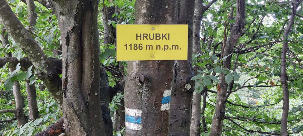 Vrch Hrubki