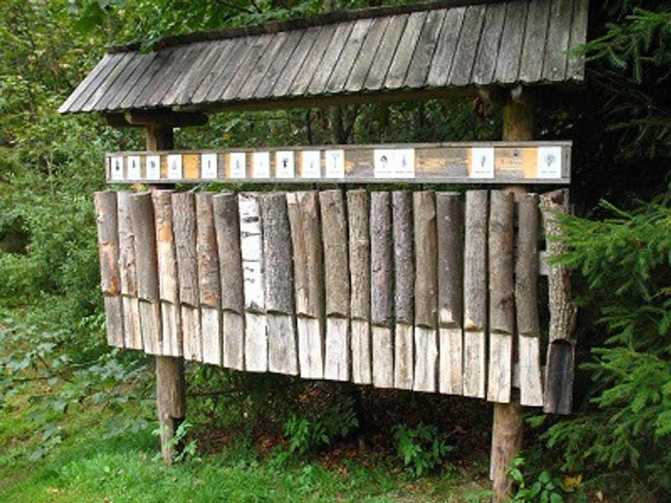 Obrázok blogu
