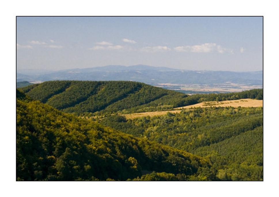 Obrázok blogu