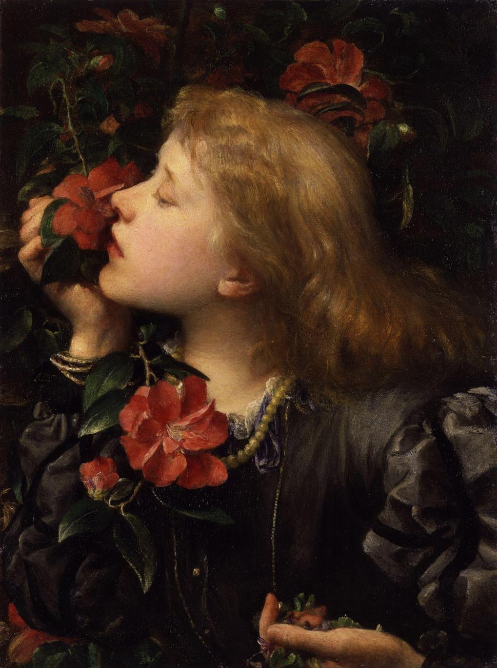 Voľba (1864)