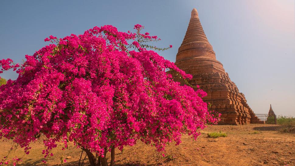 Bagan