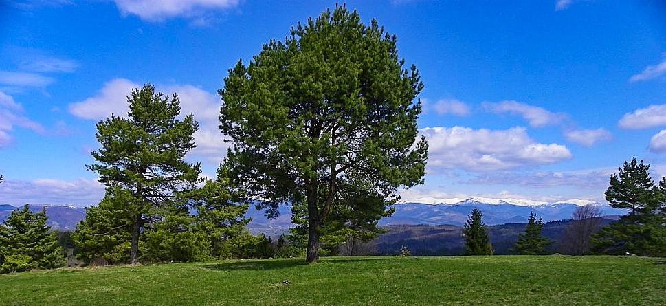 Vrchol Stráže nad Ponickou Lehôtkou.