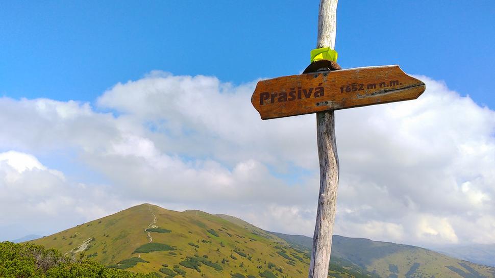 Prašivá
